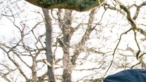 Nissan X-Trail 4Dogs