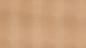 Los jugadores de Criollos de Caguas de Puerto Rico festejan una carrera contra los Tigres de Licey de República Dominicana.