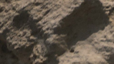 Abraham Poincheval inicia su performance "Pierre", en el Palais de Tokyo en París.