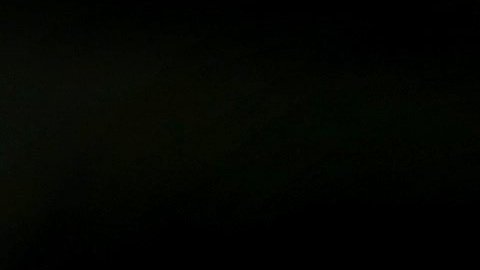 Claudio Ranieri alcanzó la gloria con el Leicester City.
