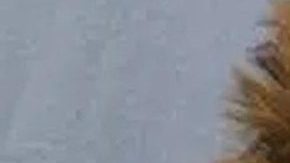 Adam Purinton, asesinó a un inmigrante.