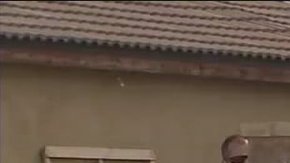 El cuerpo de la víctima fue encontrado en un descampado después de haber recibido un disparo en la cabeza.