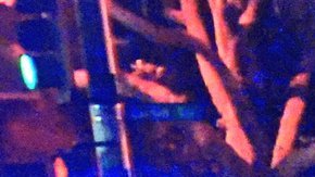 Los dos ocupantes del auto robado solo recibieron heridas leves y se desconoce si enfrentarán cargos por asesinato.