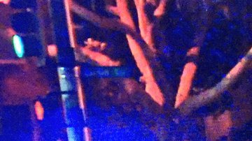 Los dos ocupantes del auto robado solo recibieron heridas leves y se desconoce si enfrentarán cargos por asesinato.