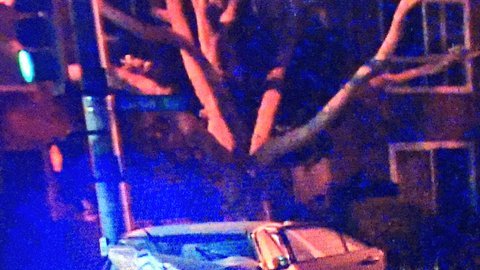 Los dos ocupantes del auto robado solo recibieron heridas leves y se desconoce si enfrentarán cargos por asesinato.
