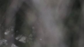 Las causas del fuego, que comenzó cuando los SWAT iban a entrar en la vivienda, todavía se están investigando.