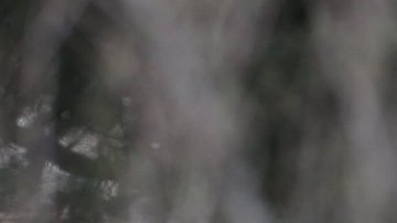 Las causas del fuego, que comenzó cuando los SWAT iban a entrar en la vivienda, todavía se están investigando.