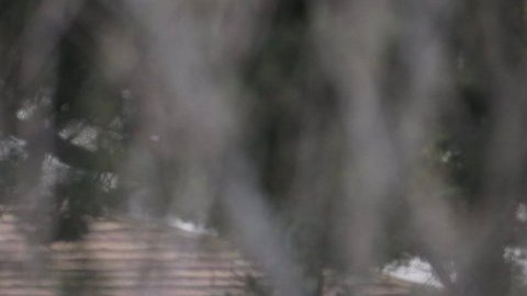 Las causas del fuego, que comenzó cuando los SWAT iban a entrar en la vivienda, todavía se están investigando.