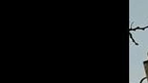 La catapulta de marihuana hallas en la frontera.