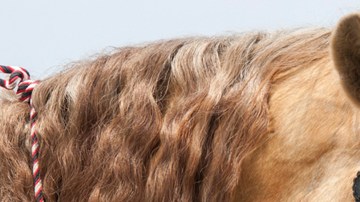 César Évora tiene una larga trayectoria en las telenovelas mexicanas