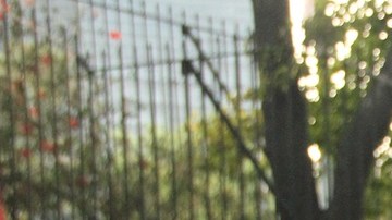 Eleazar Hernández, deportado de Wisconsin.