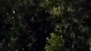 El comediante Eugenio Derbez le da la bienvenida a Conan O'Brien