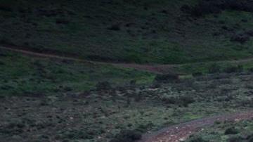 Una patrulla migratoria circula en el lado estadounidense