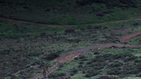 Una patrulla migratoria circula en el lado estadounidense