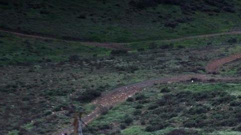 Una patrulla migratoria circula en el lado estadounidense