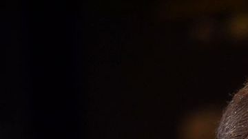 El expresidente George W. Bush