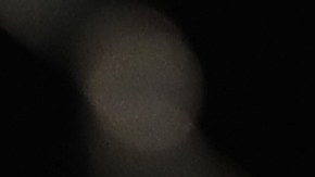 "El Pantera" Rodríguez celebra tras derrotar a Penn.