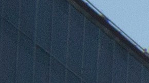 Protestors Rally Against Trump Administration In Mexico City