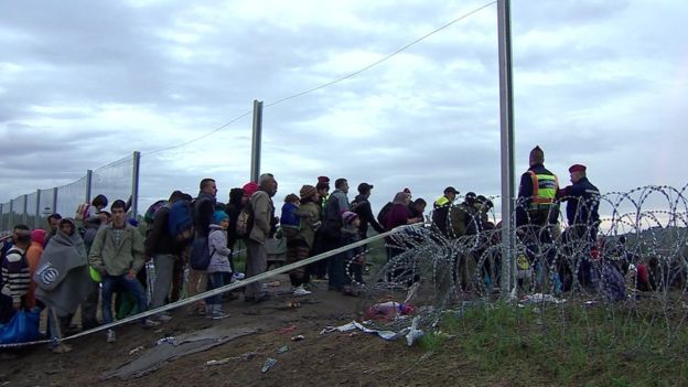 Miles de migrantes entraron todos los días a Hungría, en octubre de 2016, durante el auge de la crisis migratoria.