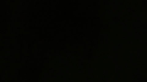 Chicharito estará varias semanas de baja