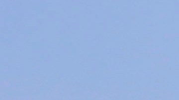 Aficionados de Pumas llaman a la unidad nacional