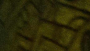 Juan Carlos Osorio, Técnico de la Selección mexicana.