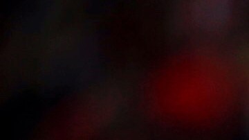 Zaldívar celebra tras anotar el penalti y el único gol del partido.