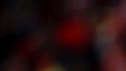 Zaldívar celebra tras anotar el penalti y el único gol del partido.