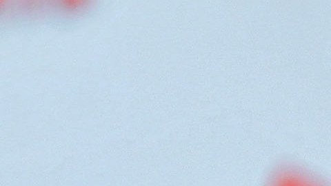 Almeyda le dio con todo a Maradona por culpa de La Volpe