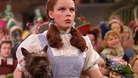 judy garland