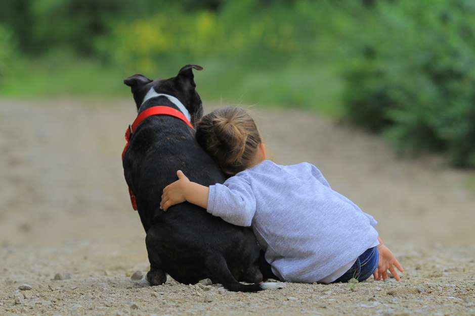 Como los niños andan pegados a sus mascotas, es importante mandar analizar las heces de los animalitos para saber si tienen o no parásitos que pueden transferirse al organismo de los menores o adultos.