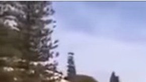 Novak Djokovic fue reprendido por su esposa Jelena.