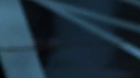 El error que le costó el gane a "La La Land".