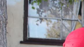 Javier Dimas revisa que las cuerdas de acero y la soga que lo detendrán en las alturas estén bien aseguradas a su cuerpo. /Jorge Luis Macias, Especial para La Opinión