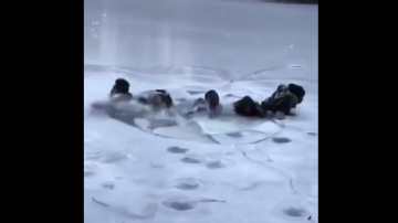 Jóvenes caen en un lago de Central Park.