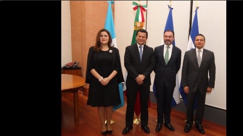 Videgaray
