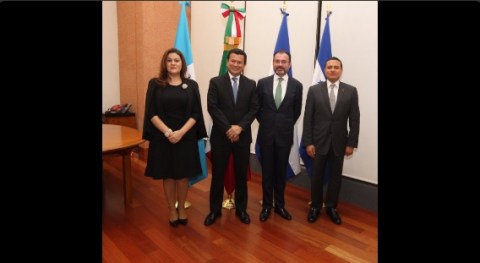Videgaray