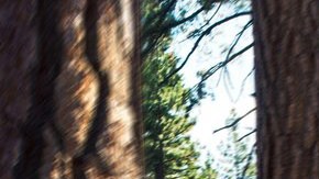 Subaru Forester 2017