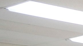 Trump disuelve la comisión que investigaba supuestos fraudes electorales.