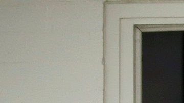 Partidarios de la medida señalan que los “nociudadanos” votaban rutinariamente en 22 estados durante los principios del siglo veinte.