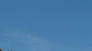 Cientos de mujeres se manifiestan en frente del Ayuntamiento de Los Ángeles durante el Día Internacional de la Mujer.