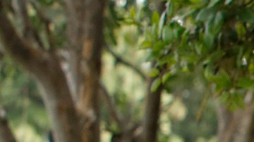 Rusty Hicks presiona para que se reduzca el número de candidatos demócratas a gobernador. (Aurelia Ventura/La Opinion)