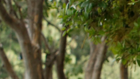 Rusty Hicks presiona para que se reduzca el número de candidatos demócratas a gobernador. (Aurelia Ventura/La Opinion)