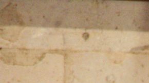 Flavino Ríos es acusado de encubrir a Duarte