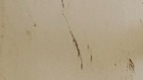 Cerca de 30 mil  personas han huido de Mosul, donde las fuerzas iraquíes apoyadas por una coalición internacional combaten a los yihadistas.