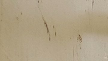 Cerca de 30 mil  personas han huido de Mosul, donde las fuerzas iraquíes apoyadas por una coalición internacional combaten a los yihadistas.