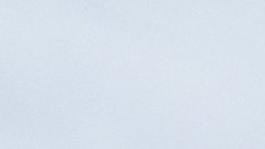 Manifestación entre opositores y seguidores de Trump.