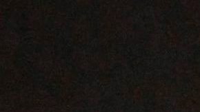 Cinco policías muertos en la matanza de Dallas