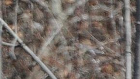 Autoridades investigan un accidente que causó 13 muertos en Texas.