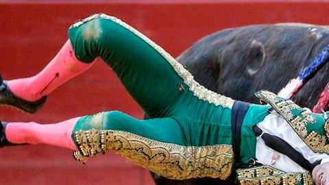 Toros